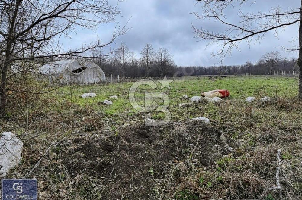 CB THETA ÇATALCA BİNKILIÇ SATILIK HOBİ BAHÇLERİ 250 M2