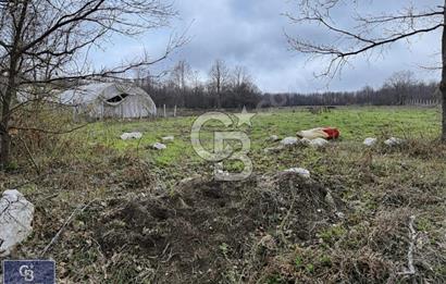 CB THETA ÇATALCA BİNKILIÇ SATILIK HOBİ BAHÇLERİ 250 M2
