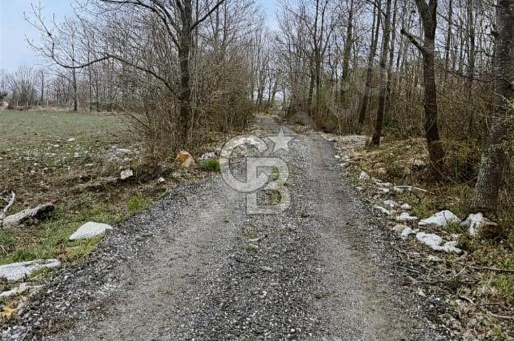 CB THETA ÇATALCA BİNKILIÇ SATILIK HOBİ BAHÇLERİ 250 M2