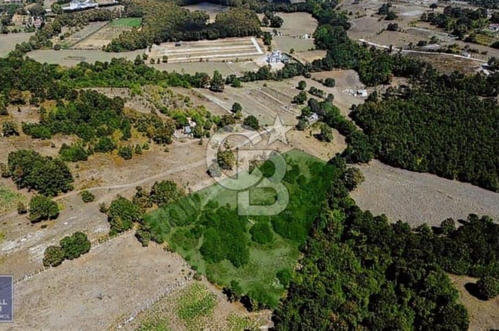 CB THETA ÇATALCA BİNKILIÇ SATILIK HOBİ BAHÇLERİ 250 M2