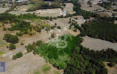CB THETA ÇATALCA BİNKILIÇ SATILIK HOBİ BAHÇLERİ 250 M2