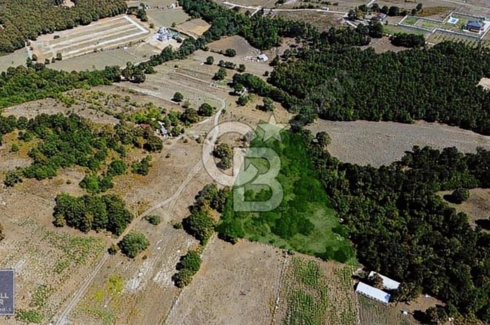 CB THETA ÇATALCA BİNKILIÇ SATILIK HOBİ BAHÇLERİ 250 M2