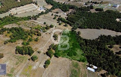 CB THETA ÇATALCA BİNKILIÇ SATILIK HOBİ BAHÇLERİ 250 M2
