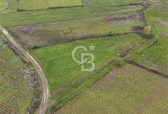 Çanakkale Yenice Kurtlar Köyünde 3.864 m² Yatırımlık Tarla!