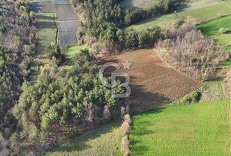 ÇANAKKALE YENİCE'DE YATIRIM FIRSATI: REŞADİYE KÖYÜ'NDE SATILIK TARLA!