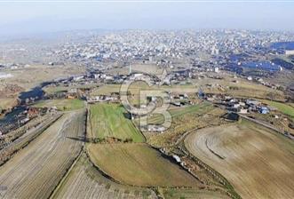 ARNAVUTKÖY HACIMAŞLI'DA 250 M2 TARLA