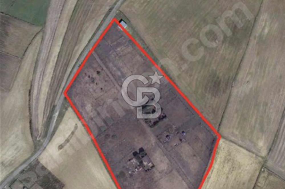 ARNAVUTKÖY HACIMAŞLI'DA 250 M2 TARLA