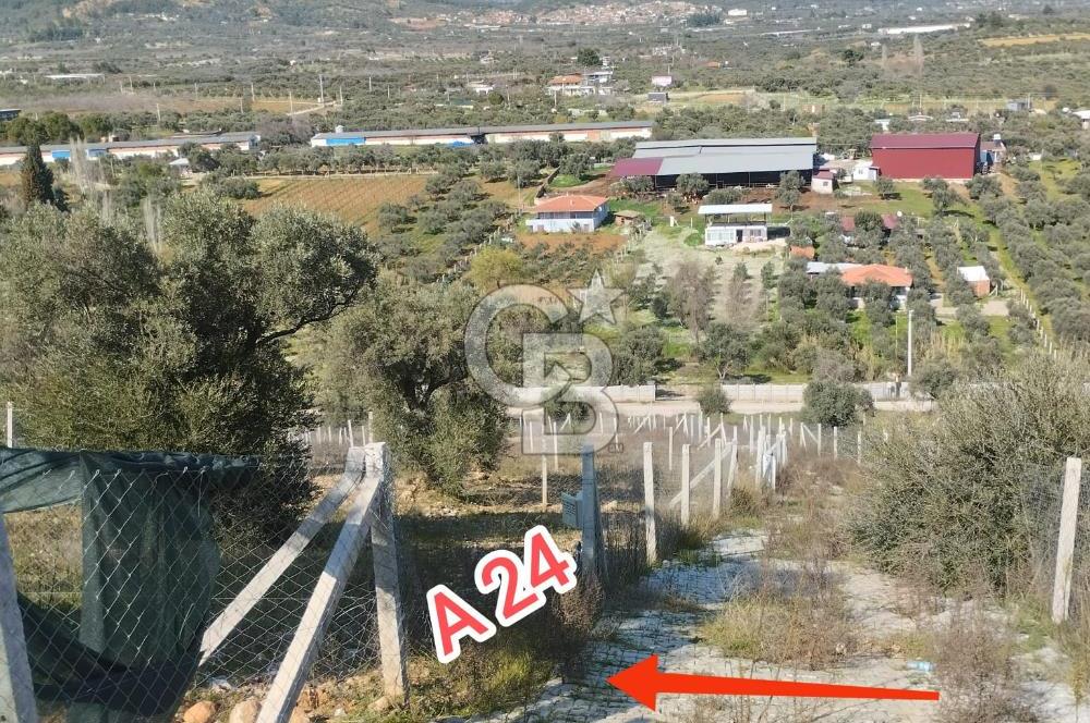 Torbalı Çakırbeyli'de 337 M² Hisseli Tapu Yerler Belirlenmiş 