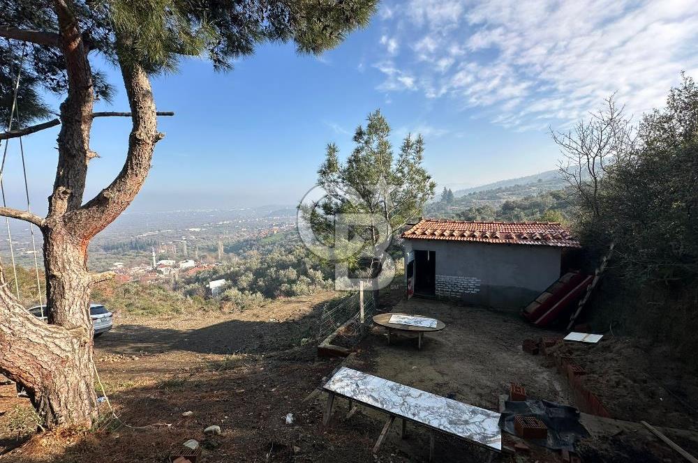 KEMALPAŞA BAĞYURDU SATILIK DOĞA MANZARALI ZEYTİNLİK