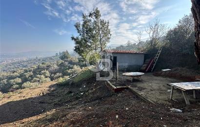 KEMALPAŞA BAĞYURDU SATILIK DOĞA MANZARALI ZEYTİNLİK