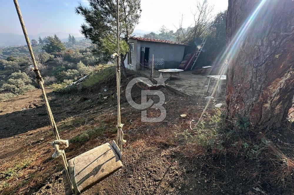 KEMALPAŞA BAĞYURDU SATILIK DOĞA MANZARALI ZEYTİNLİK