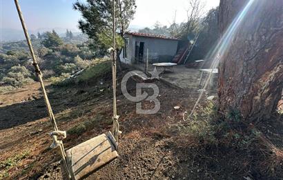 KEMALPAŞA BAĞYURDU SATILIK DOĞA MANZARALI ZEYTİNLİK