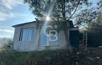 KEMALPAŞA BAĞYURDU SATILIK DOĞA MANZARALI ZEYTİNLİK