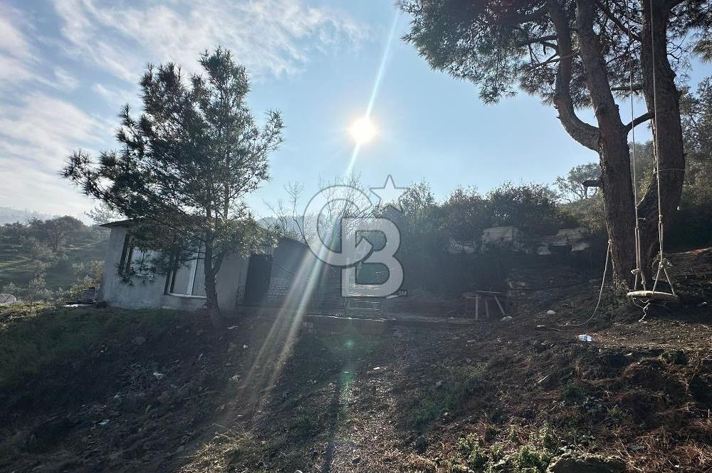 KEMALPAŞA BAĞYURDU SATILIK DOĞA MANZARALI ZEYTİNLİK