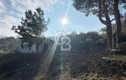 KEMALPAŞA BAĞYURDU SATILIK DOĞA MANZARALI ZEYTİNLİK