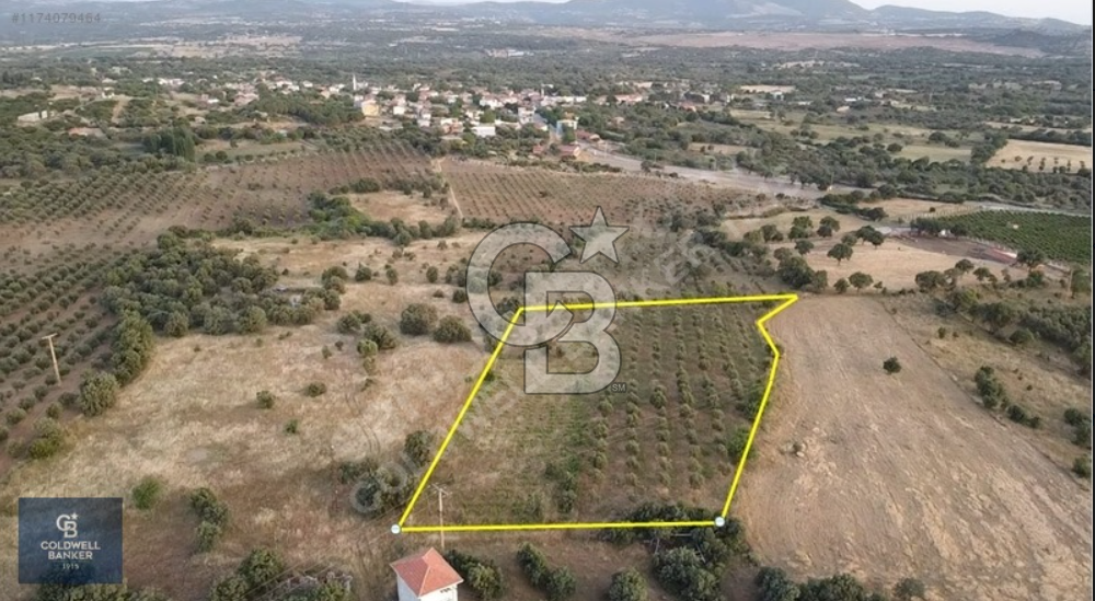 ÇANAKKALE EZİNE ULUKÖY DE SATILIK TARLA