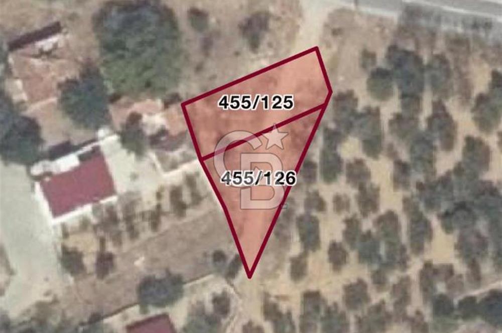 ZEYTİNDAĞ SATILIK İMARLI ARSA