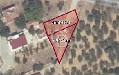 ZEYTİNDAĞ SATILIK İMARLI ARSA