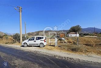 DAMLIBOĞAZ'DA ASFALTA SIFIR ELEKTİRİK, SU, KONTEYNER OLAN TARLA