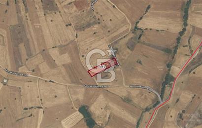 Tavas Tekke'de 2700 M² Satılık Arazi