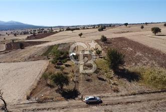 Tavas Tekke'de 2700 M² Satılık Arazi