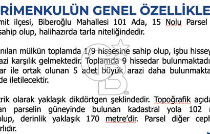 Kocaeli ili, İzmit ilçesi, Biberoğlu Mahallesi'nde, kadastral yola cepheli %5 Diğer Tarım Alanı imarlı (Maks 250 m2 ev yapılabilir) arazi.