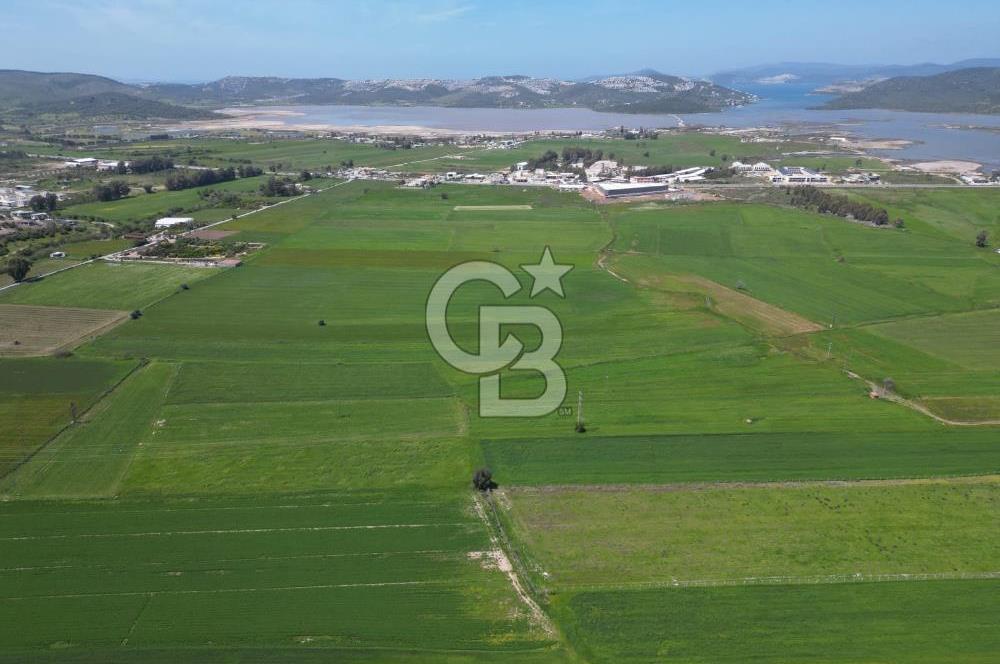 DÖRTTEPE'DE YATIRIM DEĞERİ YÜKSEK SATILIK TARLA