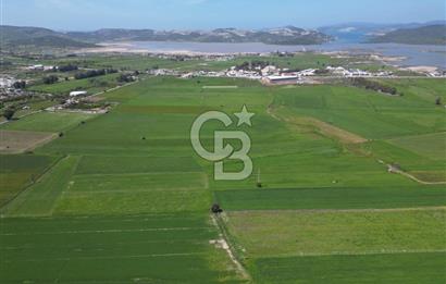DÖRTTEPE'DE YATIRIM DEĞERİ YÜKSEK SATILIK TARLA