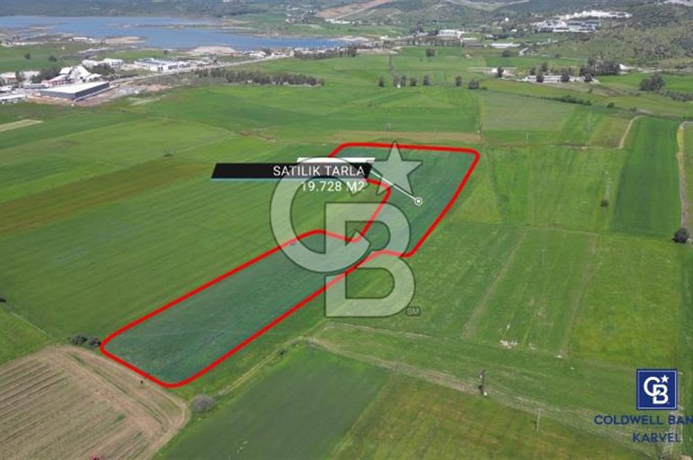 DÖRTTEPE'DE YATIRIM DEĞERİ YÜKSEK SATILIK TARLA