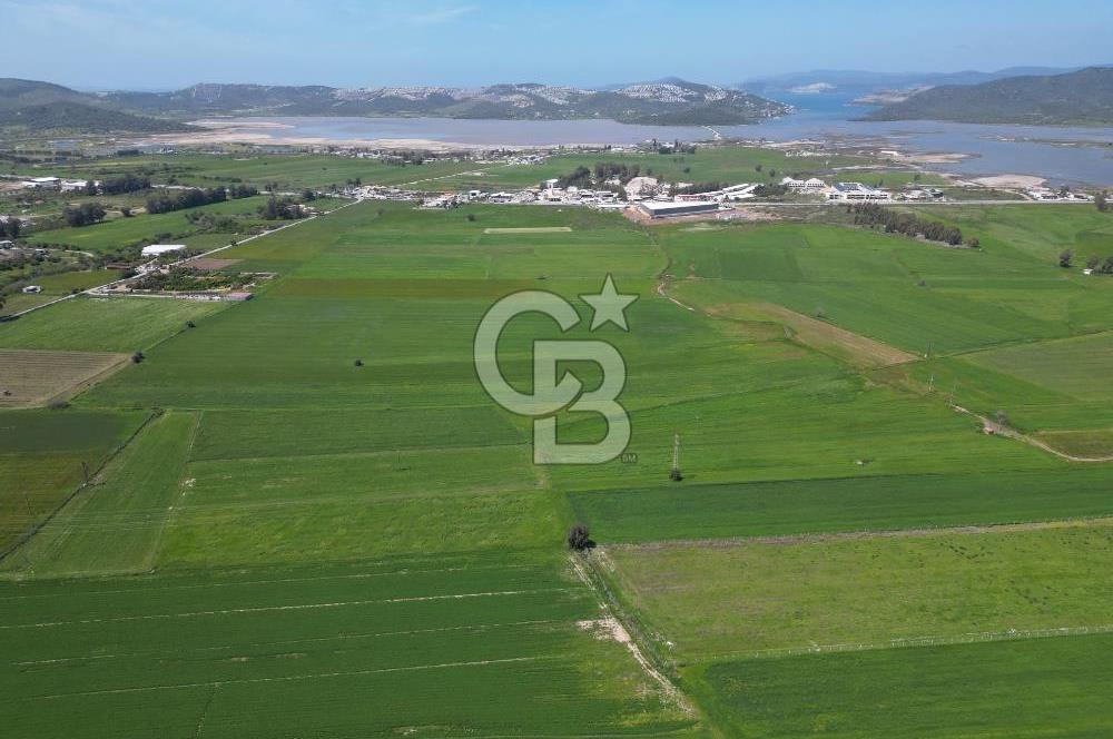 DÖRTTEPE'DE YATIRIM DEĞERİ YÜKSEK SATILIK TARLA
