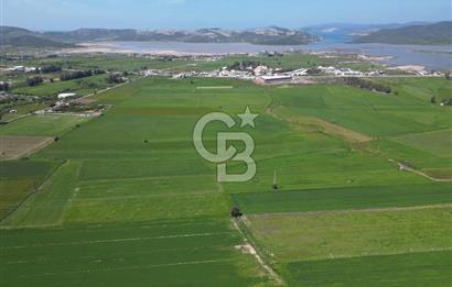 DÖRTTEPE'DE YATIRIM DEĞERİ YÜKSEK SATILIK TARLA