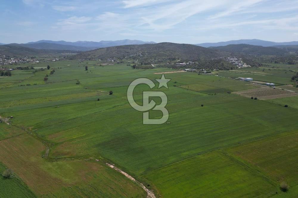 DÖRTTEPE'DE YATIRIM DEĞERİ YÜKSEK SATILIK TARLA