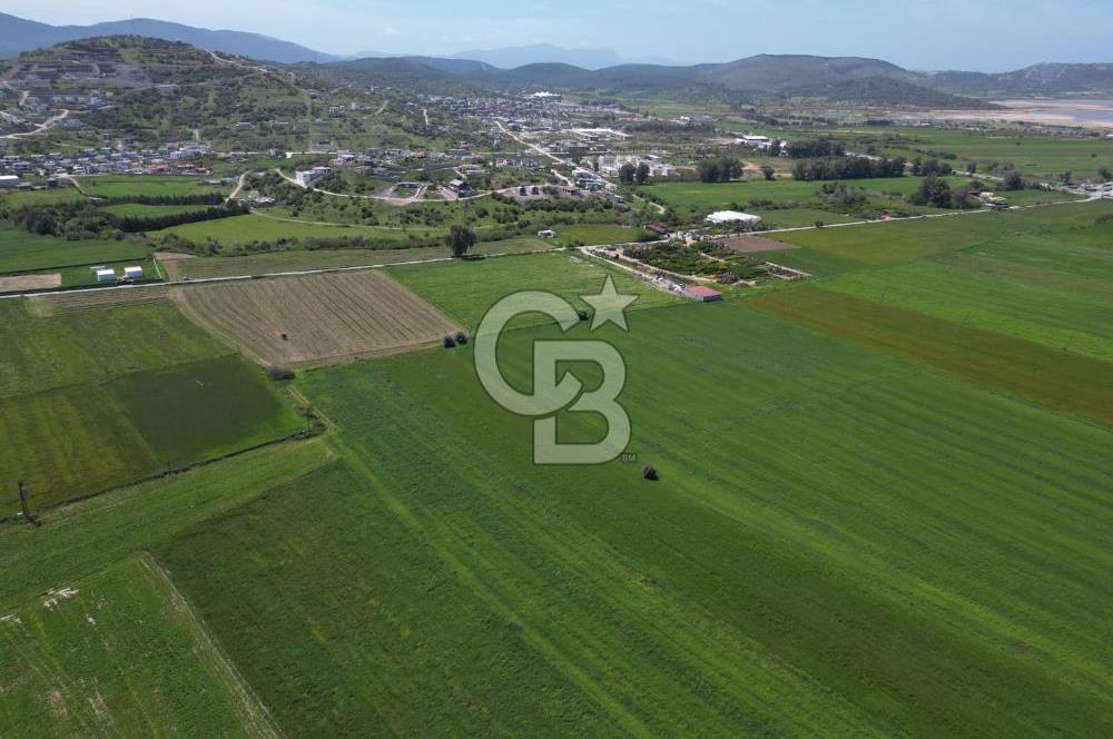 DÖRTTEPE'DE YATIRIM DEĞERİ YÜKSEK SATILIK TARLA