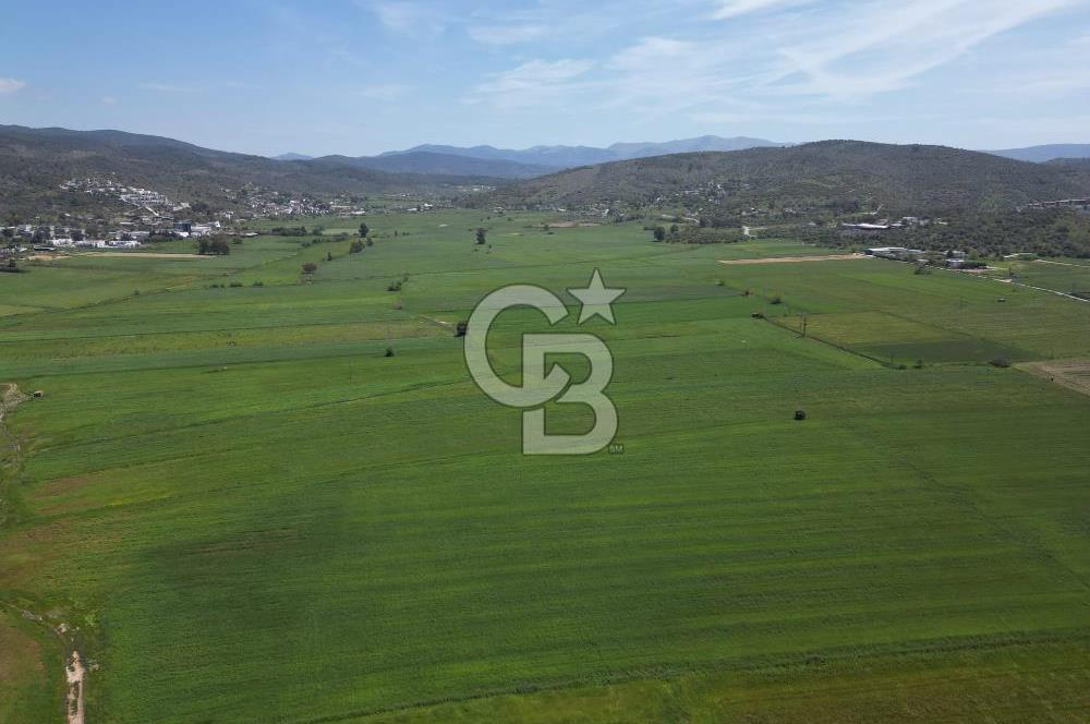 DÖRTTEPE'DE YATIRIM DEĞERİ YÜKSEK SATILIK TARLA