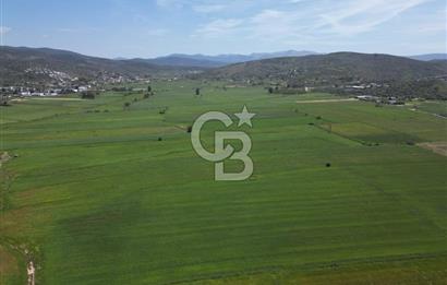 DÖRTTEPE'DE YATIRIM DEĞERİ YÜKSEK SATILIK TARLA