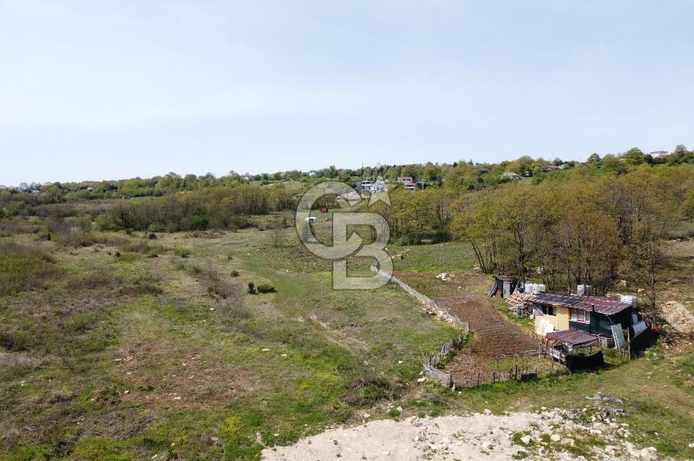 Kargalı da Köy Merkezine Yakın 2.283 m² Yola Cephe Satılık Tarla