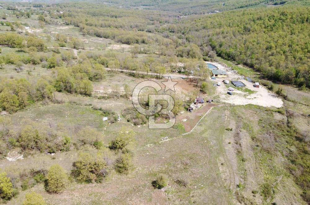 Kargalı da Köy Merkezine Yakın 2.283 m² Yola Cephe Satılık Tarla
