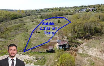 Kargalı da Köy Merkezine Yakın 2.283 m² Yola Cephe Satılık Tarla
