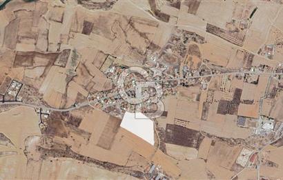 Lefkoşa Meriç'te Parselasyon İçin Fırsat Arazi !!!