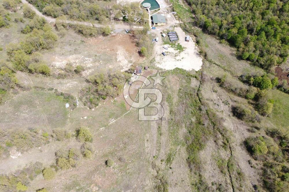 Kargalı da Köy Merkezine Yakın 2.283 m² Yola Cephe Satılık Tarla
