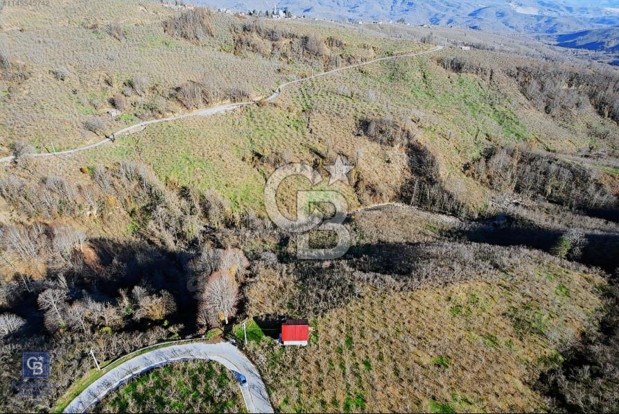 KOCAALİ KARATOPRAK-AÇMABAŞI ARASINDA 11 DÖNÜM BAKIMLI FINDIKLIK