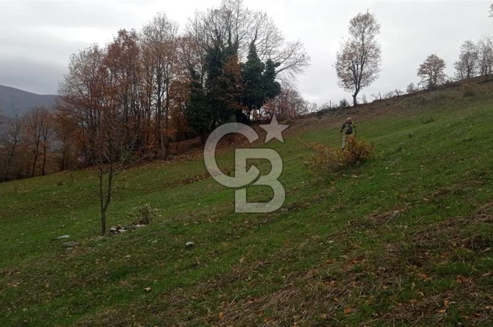 ÇANAKKALE / BİGA / SARNIÇ KÖYÜ'NDE SATILIK 4,548 M2 TARLA