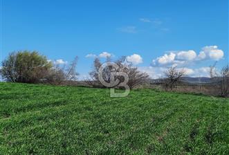 ÇANAKKALE BİGA KORUOBA KÖYÜNDE SATILIK 8692 M2 TARLA
