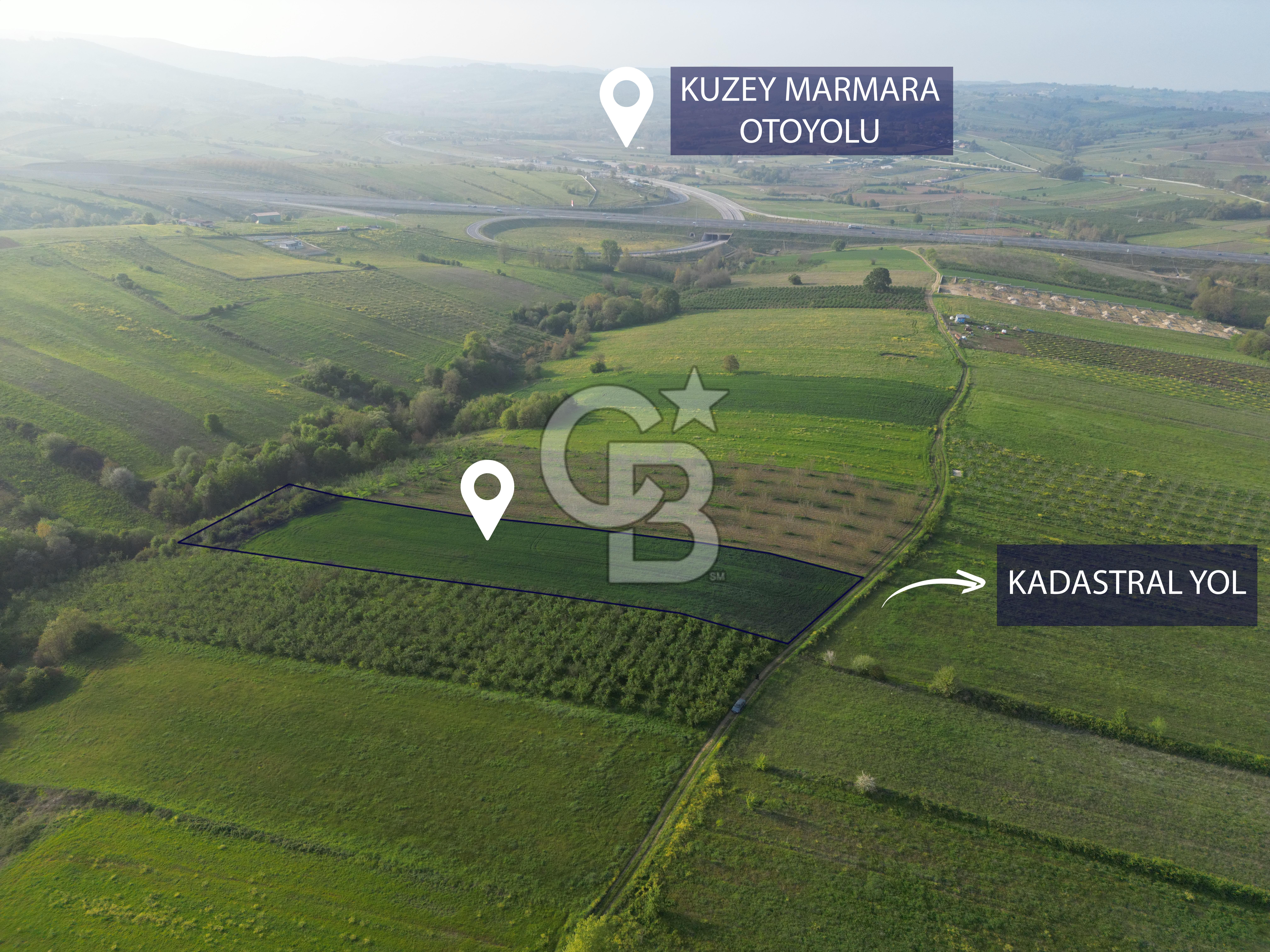 İZMİT AKMEŞE'DE KADASTRAL YOLLU 8915 m² SATILIK TARLA