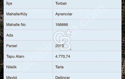 Torbali Ayracilarda Tek Tapulu Satilik Tarla