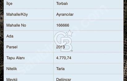 Torbali Ayracilarda Tek Tapulu Satilik Tarla