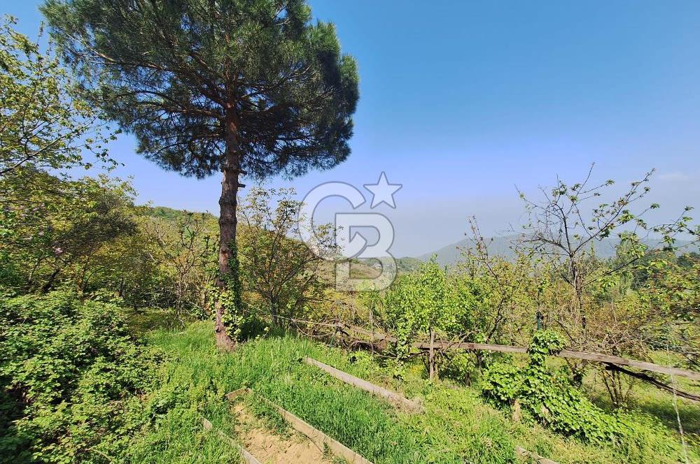 Karamürsel Çamçukuru 4366 m² Arazi, Özel Yapım Müstakil Villa