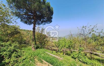 Karamürsel Çamçukuru 4366 m² Arazi, Özel Yapım Müstakil Villa