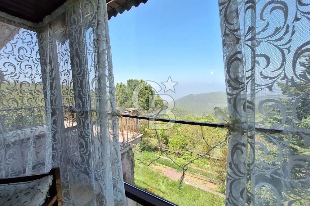 Karamürsel Çamçukuru 4366 m² Arazi, Özel Yapım Müstakil Villa
