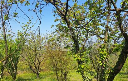 Karamürsel Çamçukuru 4366 m² Arazi, Özel Yapım Müstakil Villa